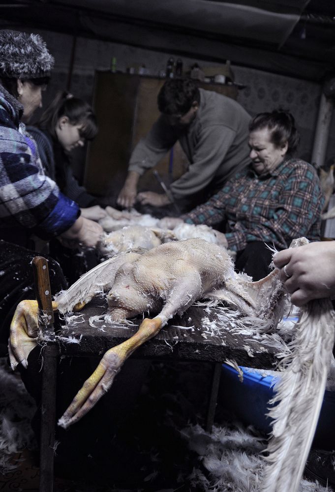 Photograph by София Носкова