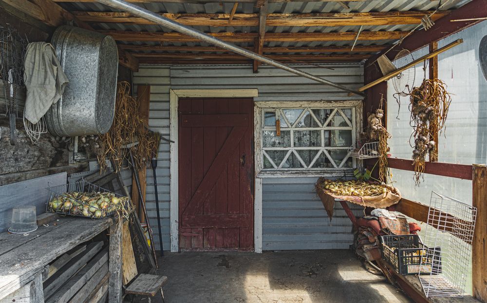 Фотография автора Максим Грибанов