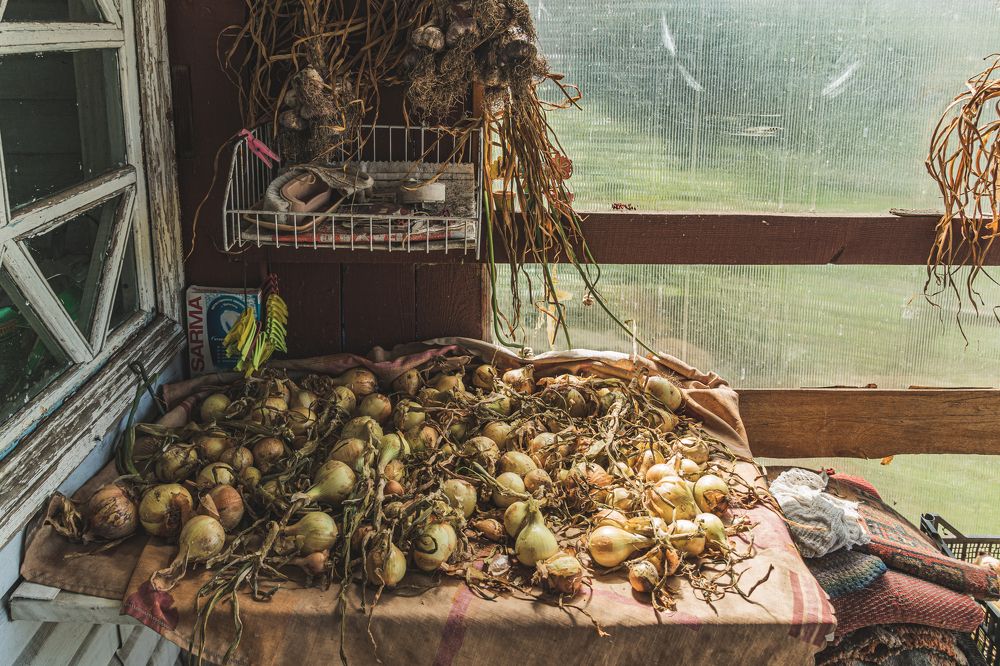 Фотография автора Максим Грибанов