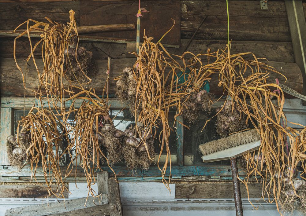 Фотография автора Максим Грибанов