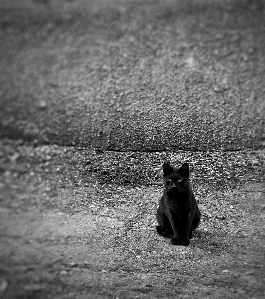 Фотография автора Ольга Игуменова