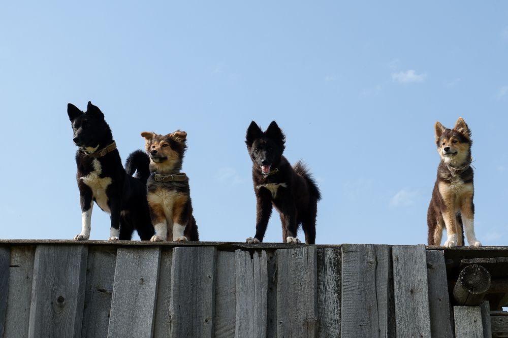 Photograph by Юлия Морозова