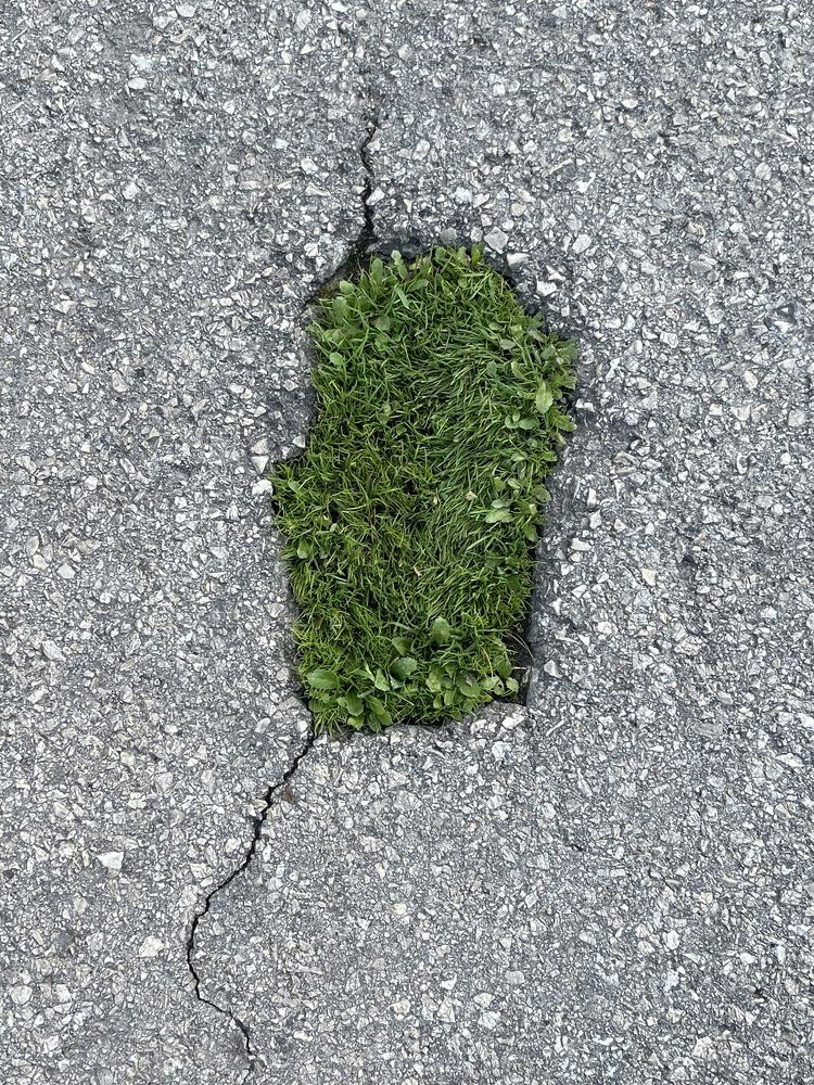 Photograph by Eugene Krivoy