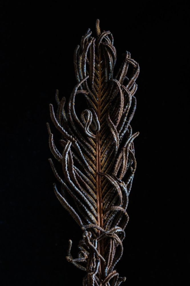 Photograph by Людмила Аксенова