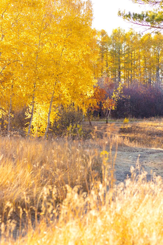 Photograph by Ольга Романова