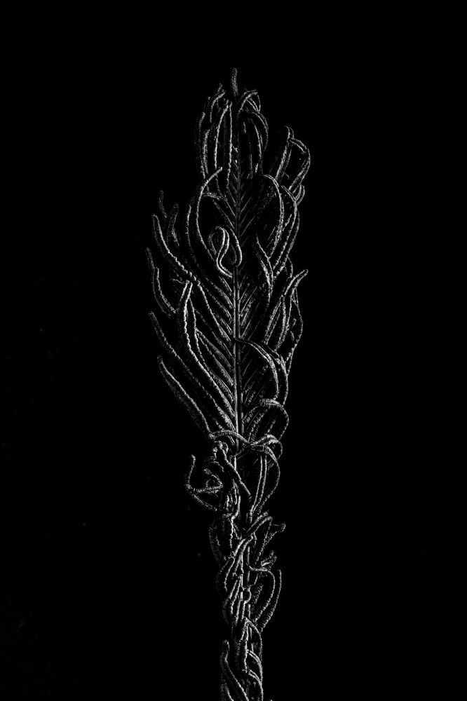 Photograph by Людмила Аксенова