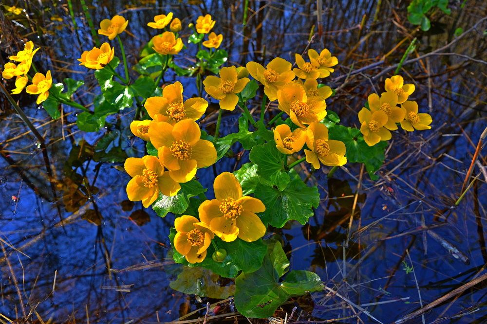 Photograph by Андрей Москалев