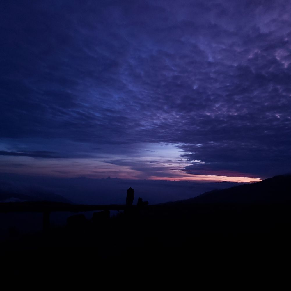 Photo #9672542