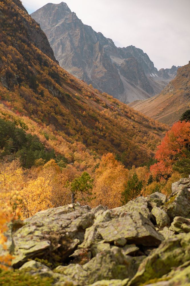 Photograph by Мария Князева