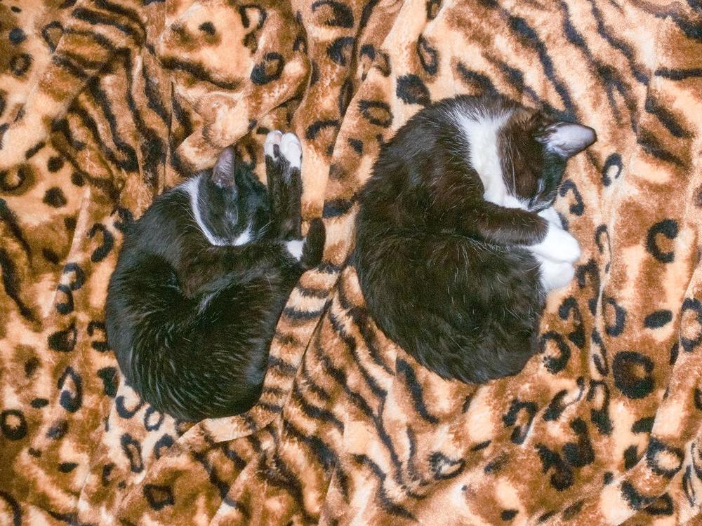 Photograph by Fantomas