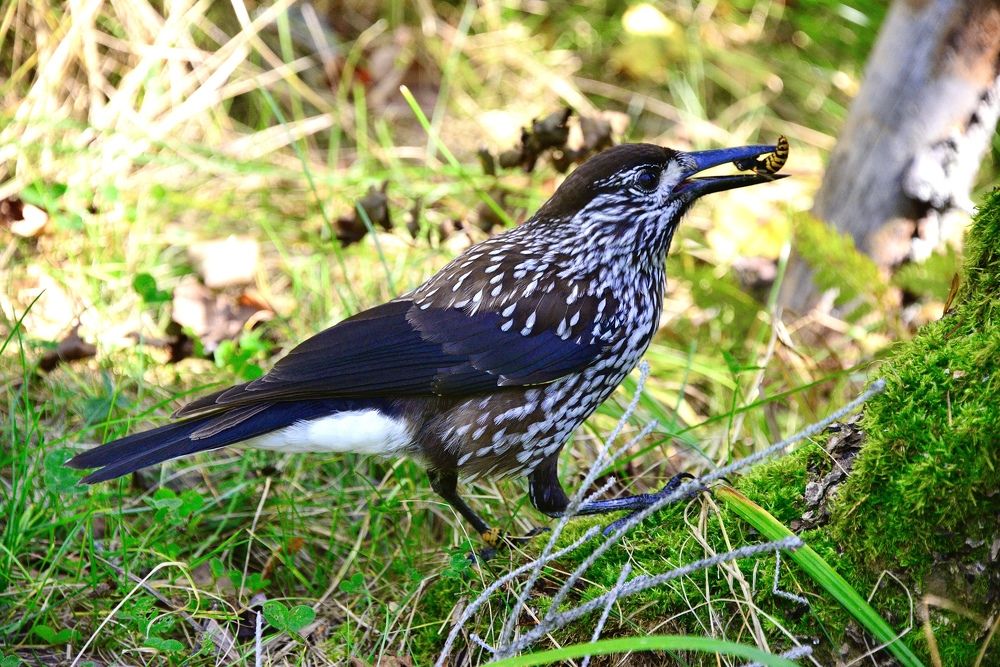 Photograph by Дмитрий Юдин