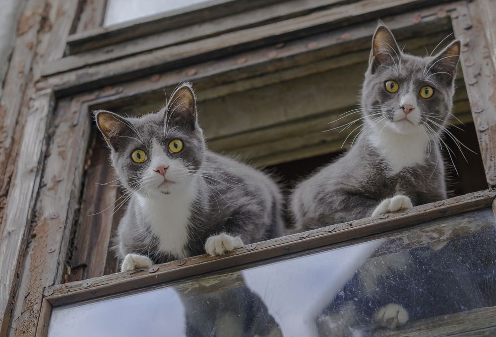 Photograph by Евгений Печенин