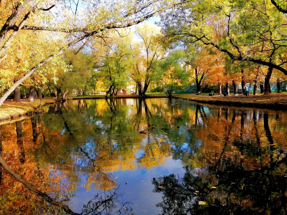 Photograph by Светлана Веселовская