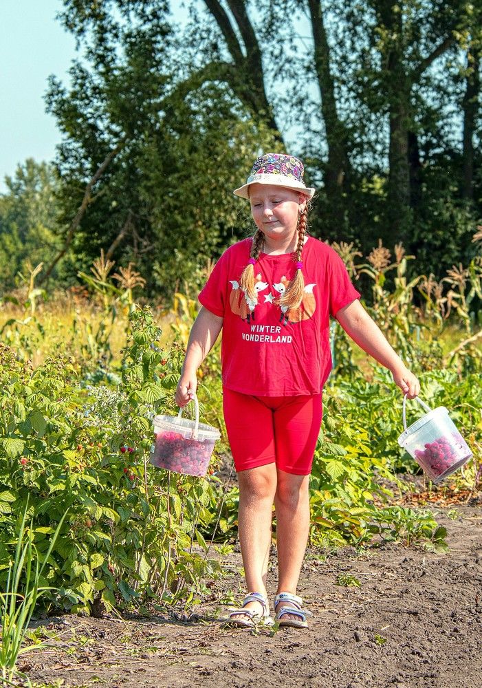 Photograph by Алексей Сиваков