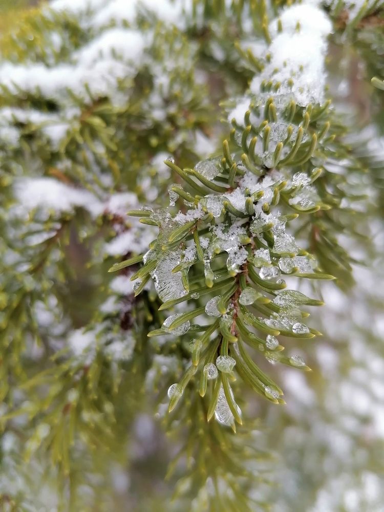 Photograph by Татьяна Бешенкина