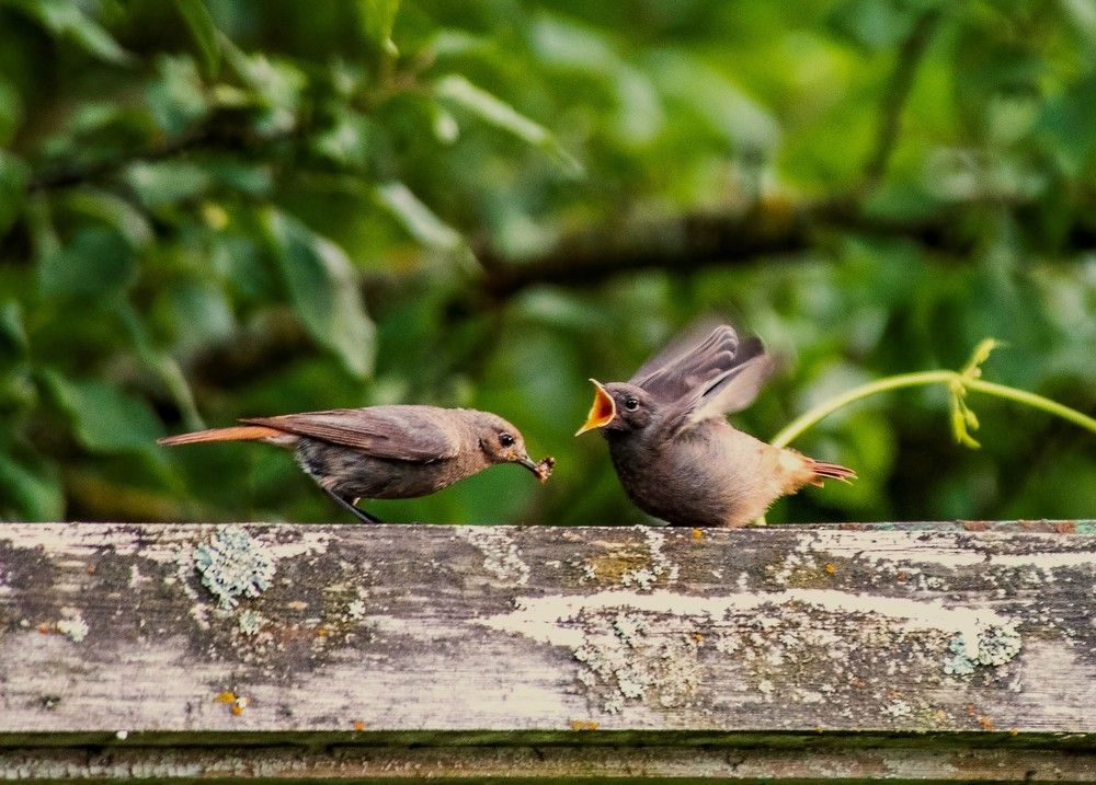 Photograph by Алексей Сиваков