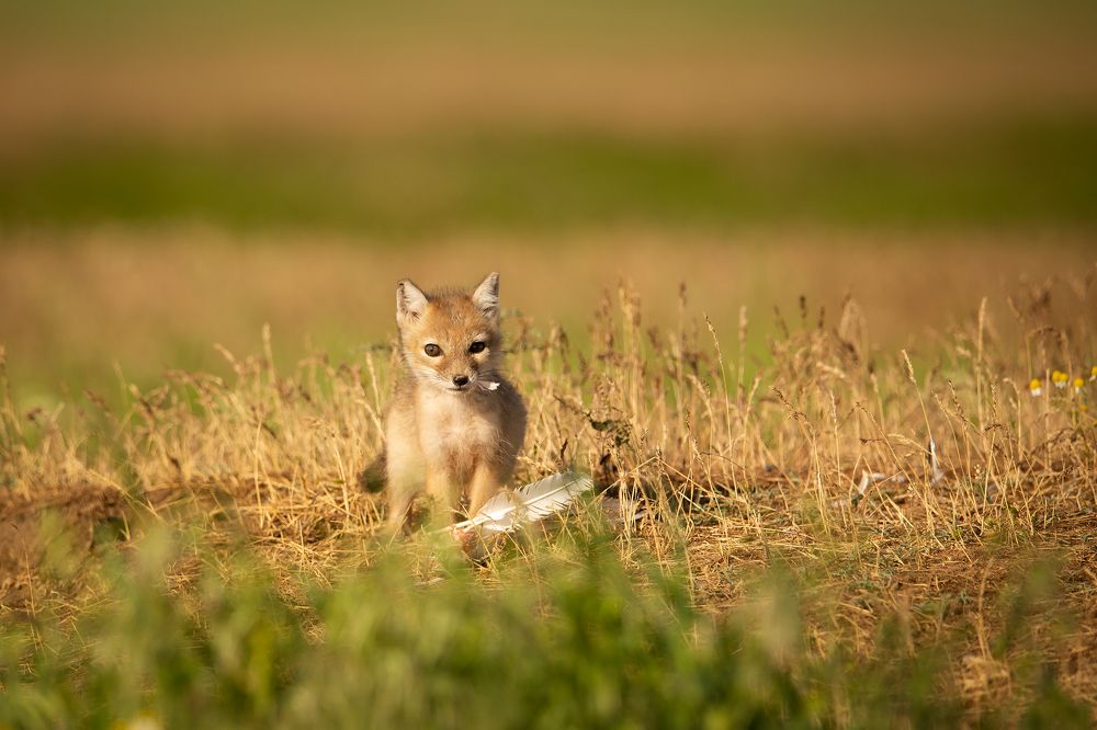 Photograph by Александр Ильин