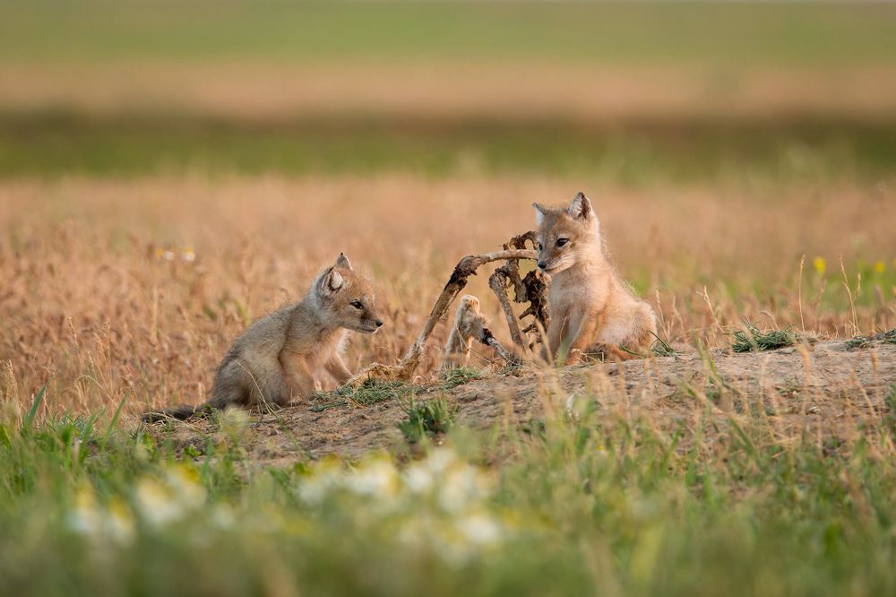 Photograph by Александр Ильин