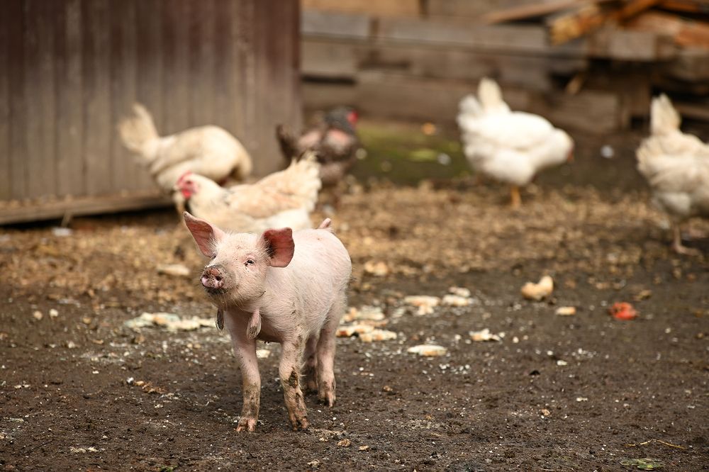 Photograph by Наталья