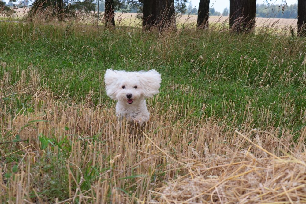 Photograph by Наталья Клячина