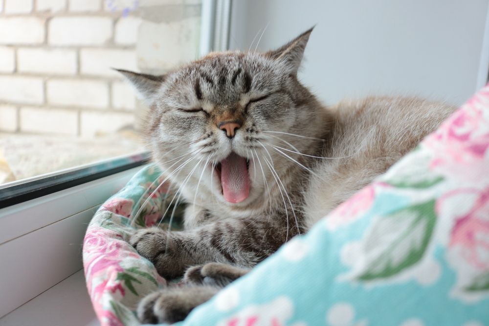 Photograph by Наталья Клячина