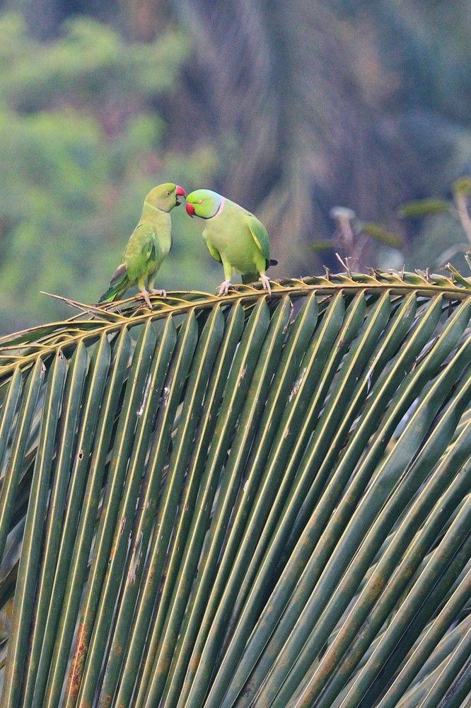 'You don't appreciate me'