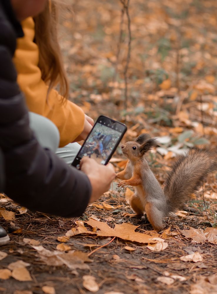 Photograph by Михеева Олеся