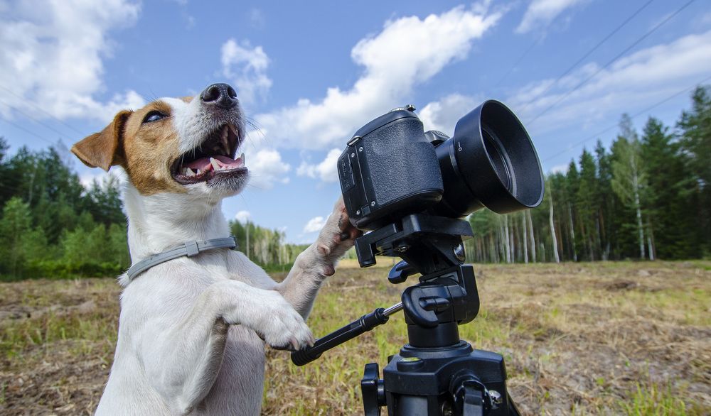 Photograph by Роман Кудрявцев