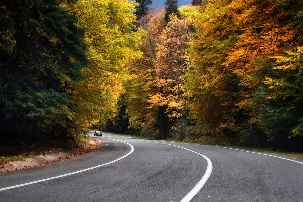 Photograph by Коркин Вадим