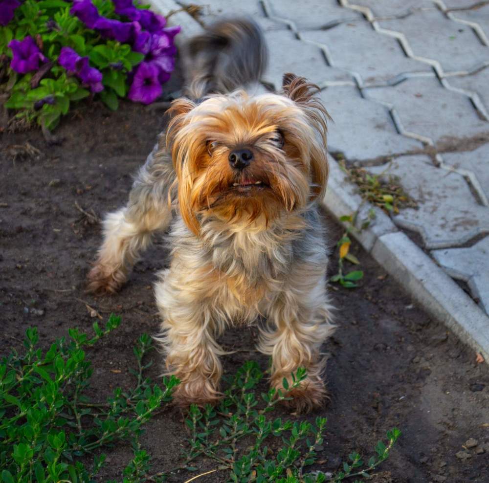 Photograph by Анжелика Трошина