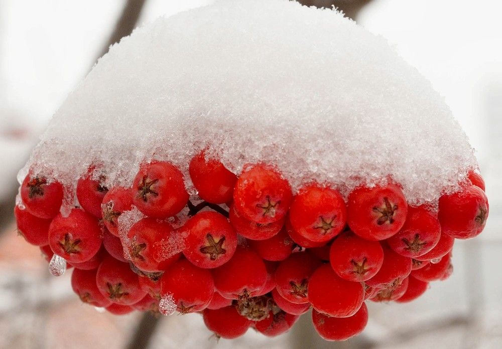 Фотография автора Дмитрий Климов