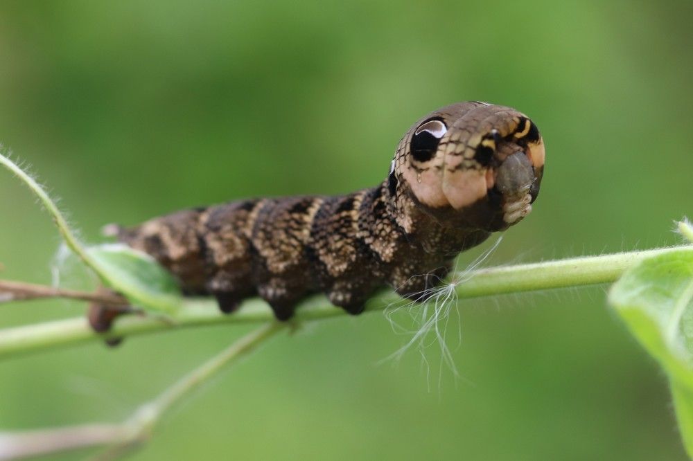 Photograph by Светлана Соколова