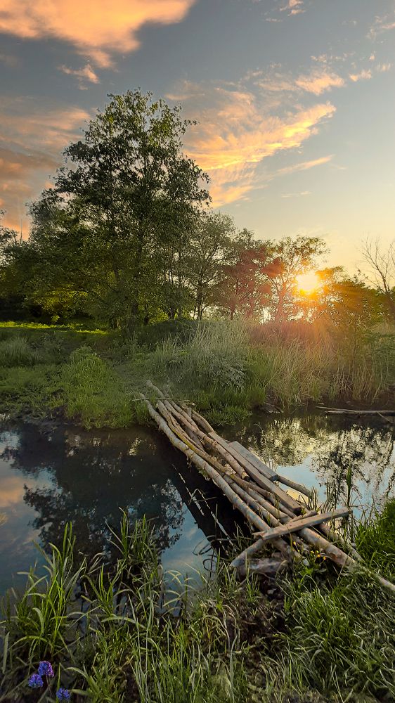 Photograph by (AlexOldmanPhoto) Алексей Стариков