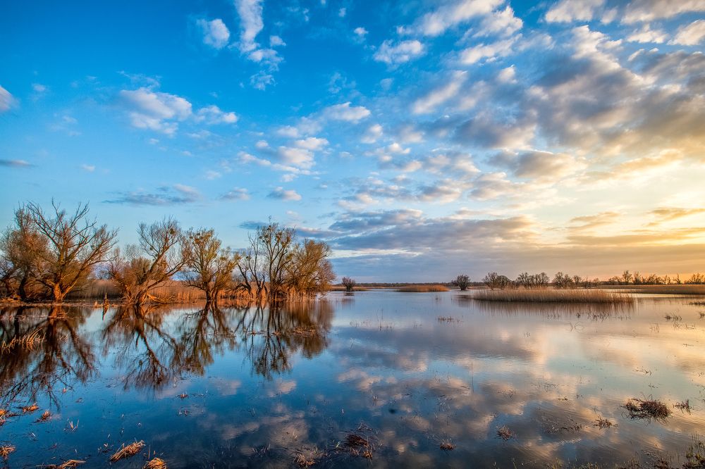 Photograph by Samir Kurtagić