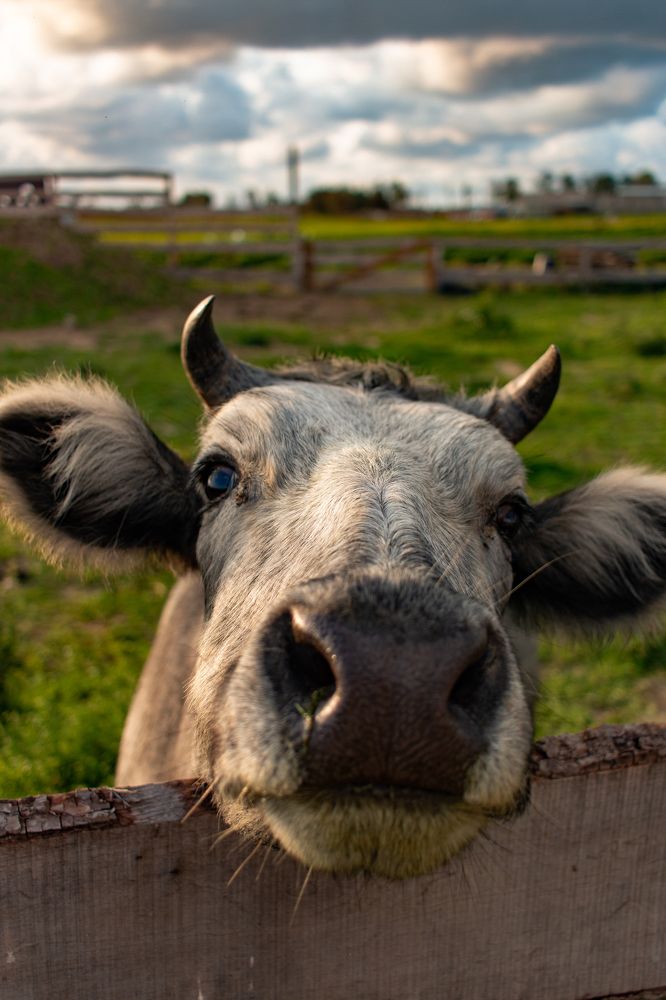 Photograph by Aleksandr Korotkov