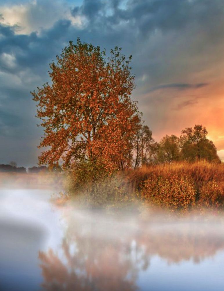 Золото осени