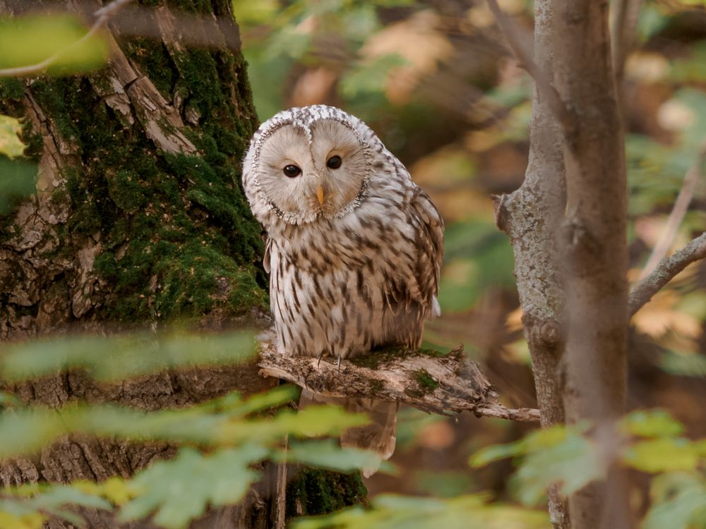 Photograph by Ольга Сергеева