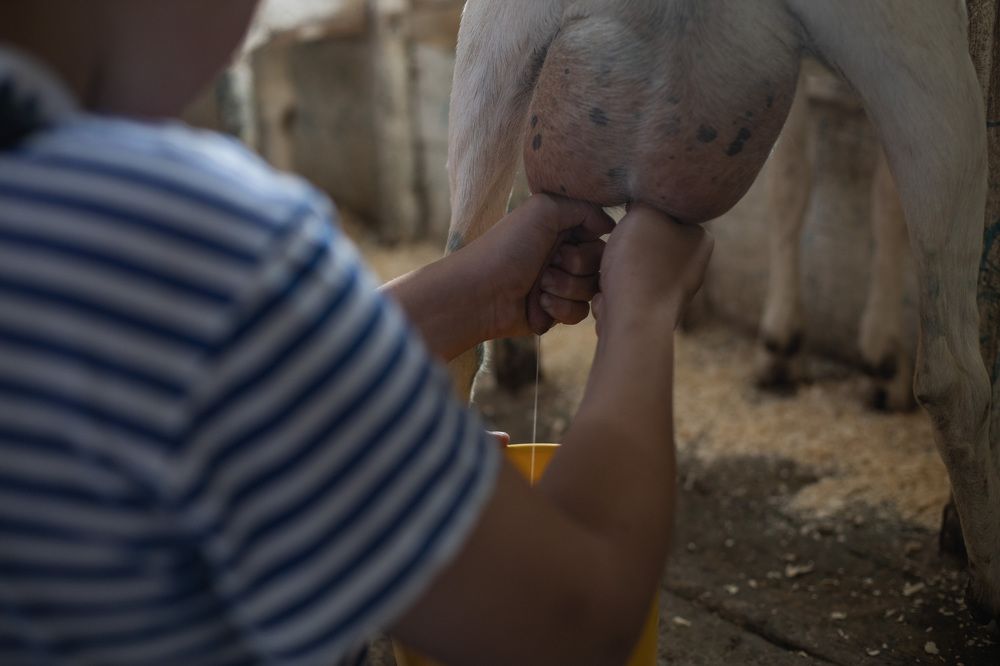 Photograph by Ольга Левакова