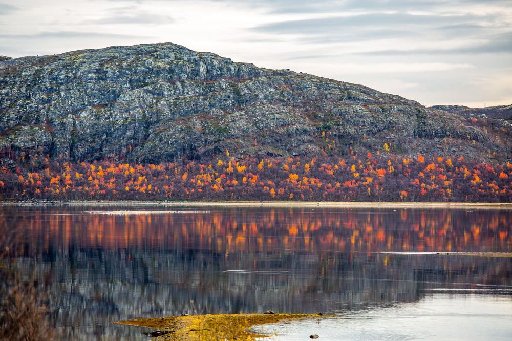 Photograph by Елена Данченко