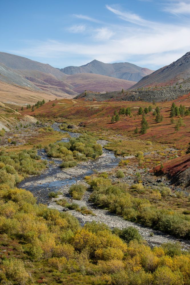 Photograph by Елена Данченко