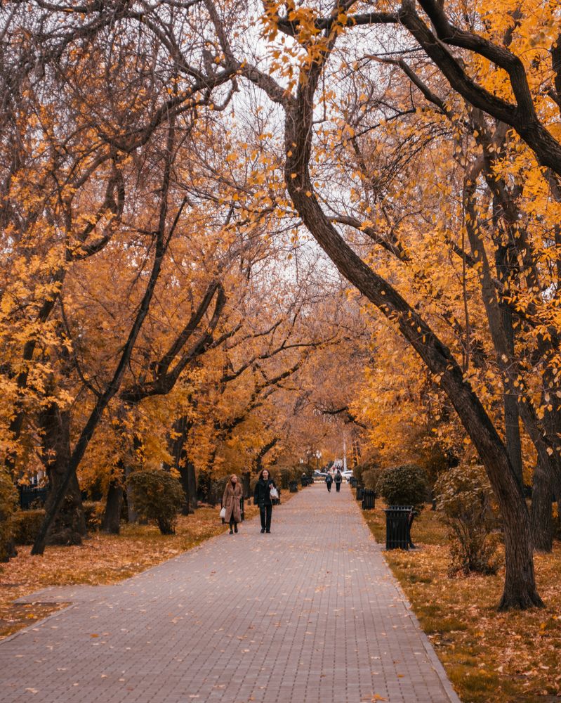 Photograph by Lym Shur