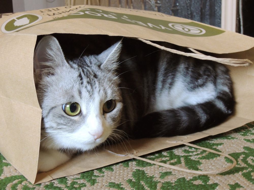 Photograph by Юлия Сахарова