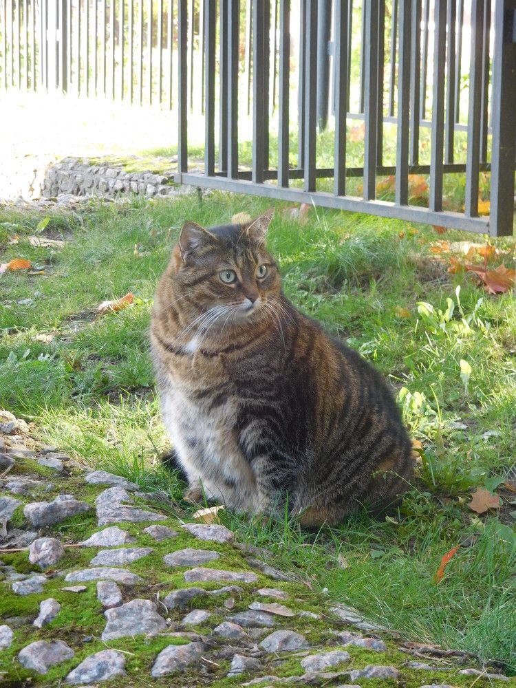 Photograph by Маша Худякова