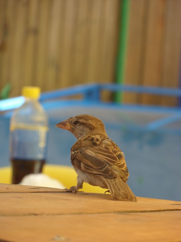 Photograph by Маша Худякова