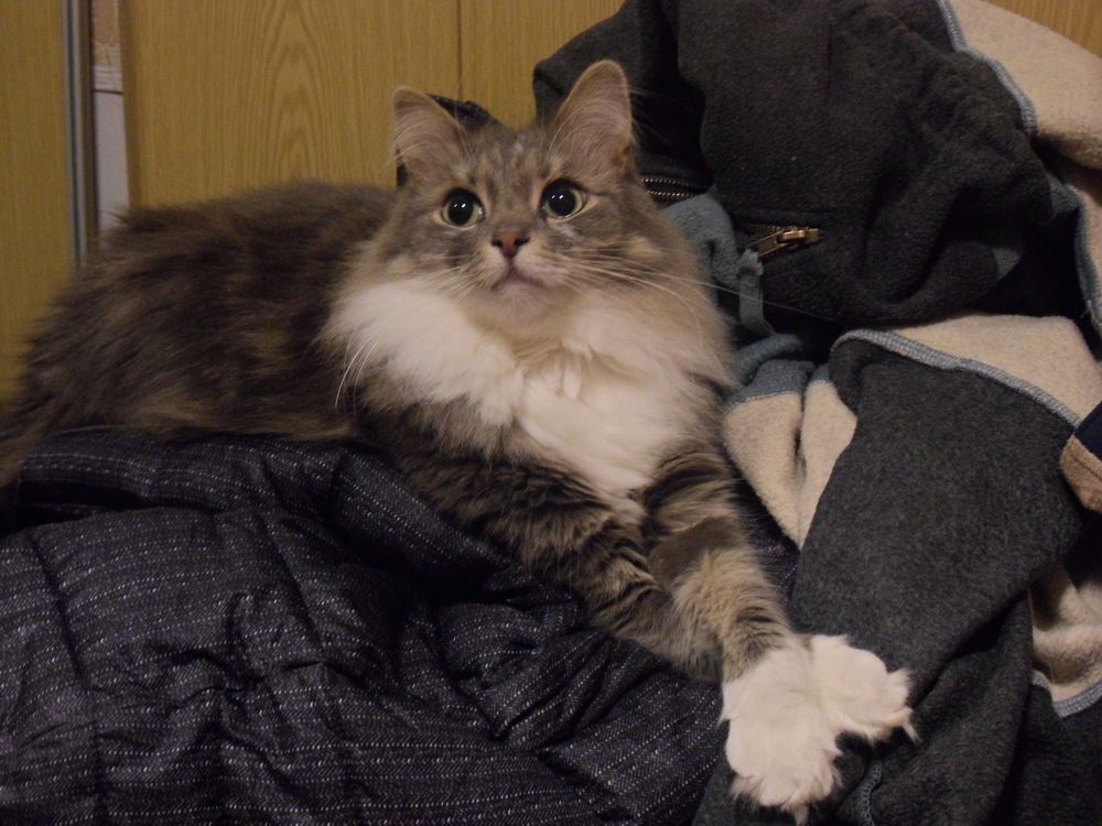 Photograph by Маша Худякова