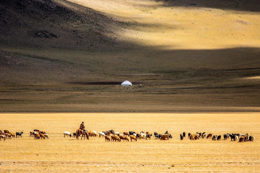 Photograph by Елена Данченко