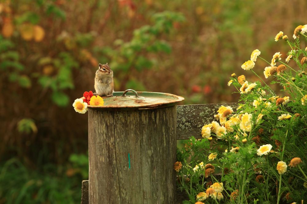 Портрет на пленэре