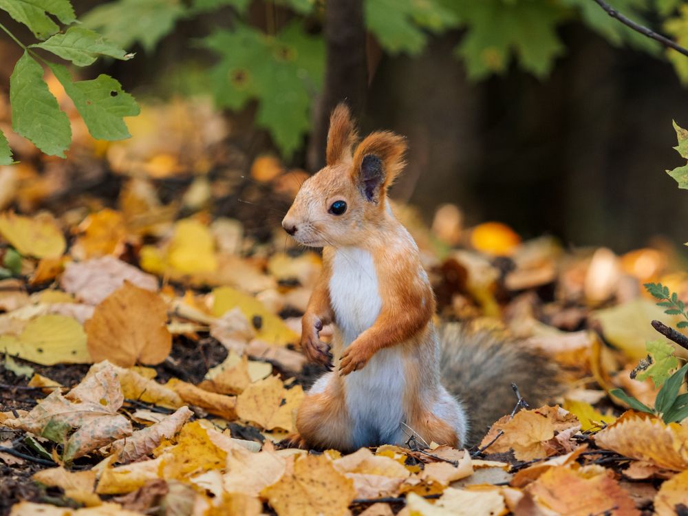 Photograph by Ольга Сергеева