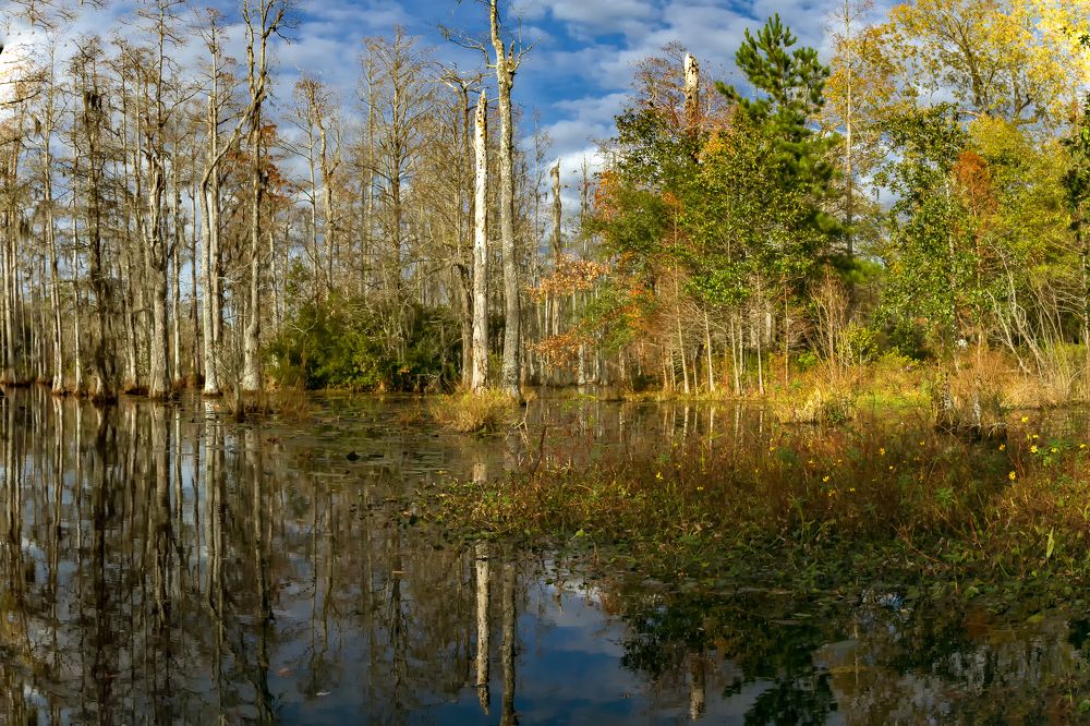 Photograph by Ilya Tikhaev