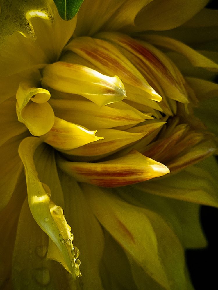 Photograph by Вера Крутилина